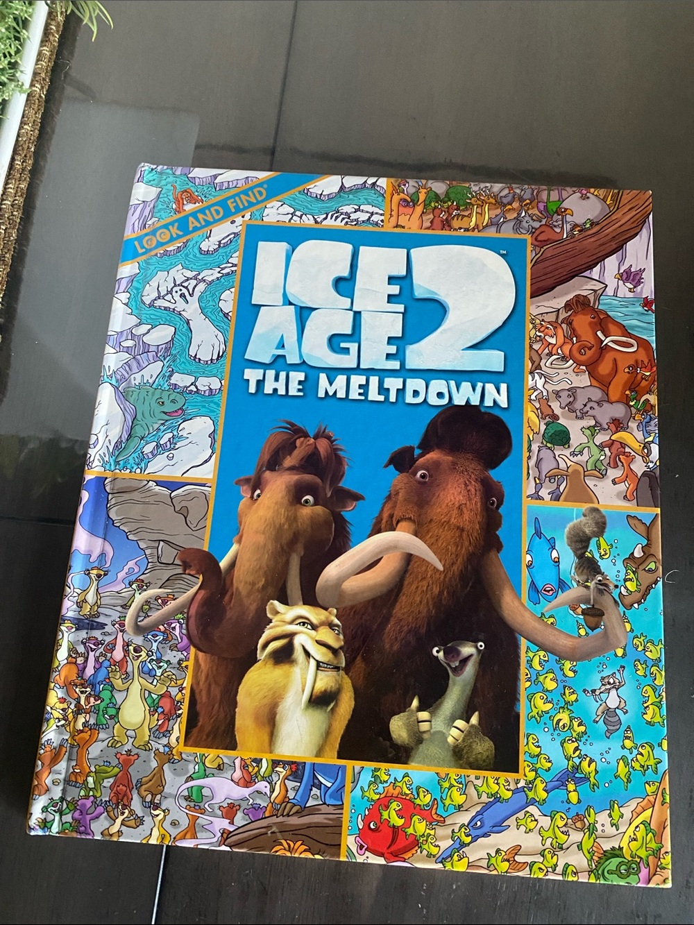 Ice Age Look and Find Book